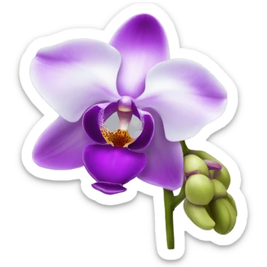 orchid flower sticker