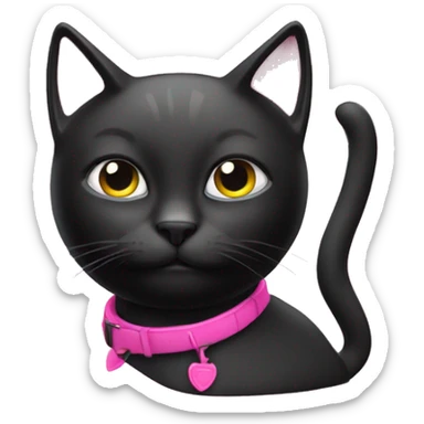 Create a black cat în a pink bla jet sticker