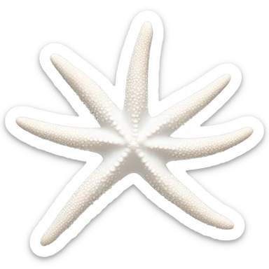 White starfish  sticker