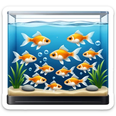 black and white goldfish in a rectangular fish tank multiple fish sticker