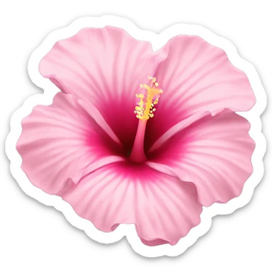 Hibiscus flower light pink sticker