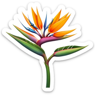 the flower the bird of paradise  sticker