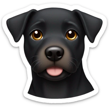 A black Patterdale Terrier dog with a white patch on its chest and brown eyes.  sticker