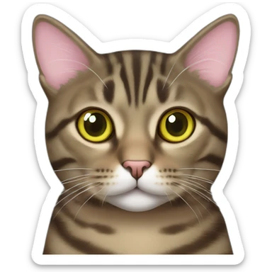 brown mackerel tabby cat with greenish yellow eyes and pink nose sticker