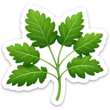 Cilantro sticker