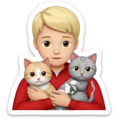 Make 1 gray cats cudling a kid that’s a boy wearing all red and he’s blond sticker