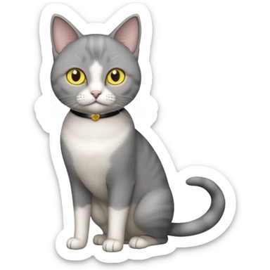 Grey tuxedo shorthair cat with yellow eyes standing sticker