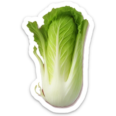 A napa cabbage marinated in a bright red pepper paste sticker