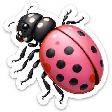 pink ladybird sticker