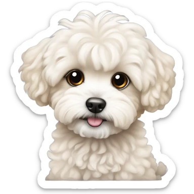 Maltipoo pups sticker