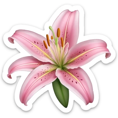 large soft pink lily sticker