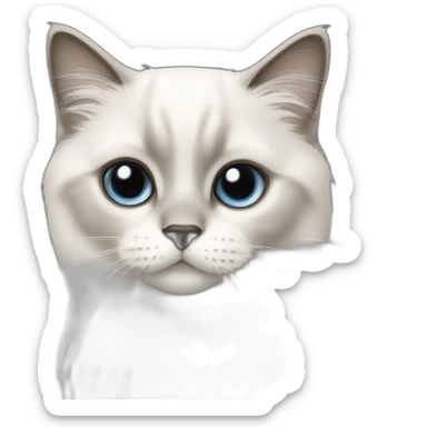 White birman cat sticker