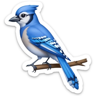 blue jay bird sticker