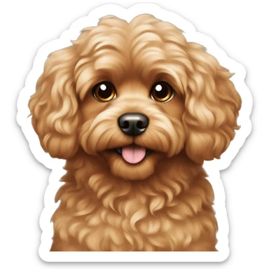 Fluffy Carmel coloured cavoodle dog sticker