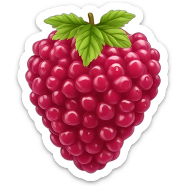 Framboise fruit sticker