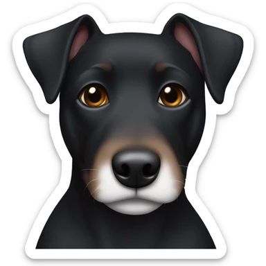 A black Patterdale Terrier dog with a white patch on its chest and brown eyes. sticker