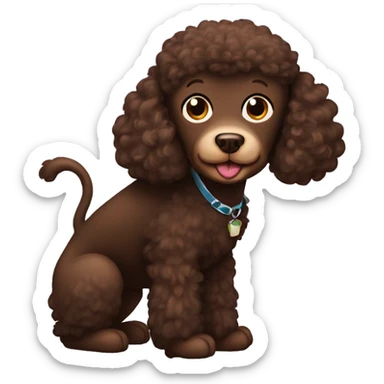 Brown poodle with a chimpaneeze sticker
