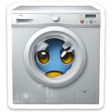 Stuck in washing machine sticker