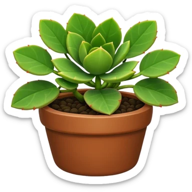 Xerosicyos danguyi sticker