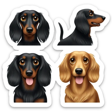 Black and w long haired dachshunds  sticker