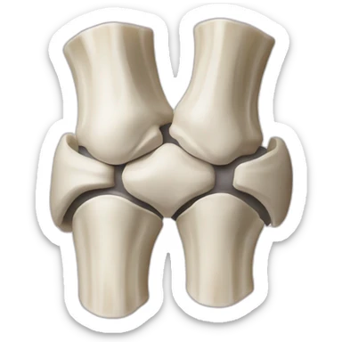 ligaments croisés genoux sticker