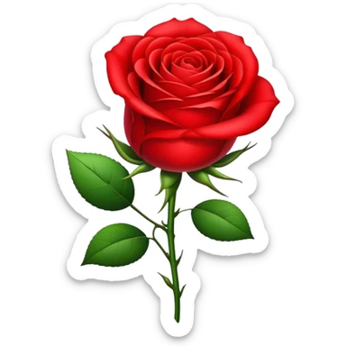 Realistic rose of dark deep red color  sticker