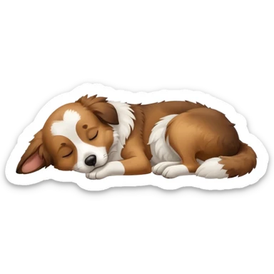 собака породи ауссі спить sticker