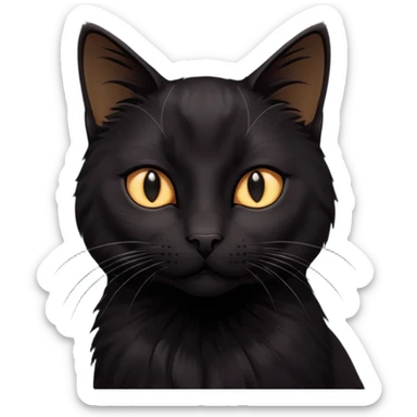 Solin wäre ein Kater mit nachtschwarzem, glänzendem Fell, kräftig gebaut und zugleich von seltener Eleganz. Sein Blick – tief und warm – scheint in die Seele zu führen, während seine Bewegung lautlos ist wie ein Schatten, der sich still an die Seite schmiegt.ihn nichts auf der Welt erschüttern. sticker