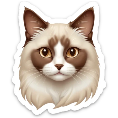 Cinematic Chocolate-Point Ragdoll Cat Portrait Emoji, Elegant and alert, sleek brown and white tones with a distinct white nose, Simplified yet sharp features, highly detailed, glowing with a warm, confident glow, high shine, intelligent and poised, stylized with an air of grace, focused and attentive, soft glowing outline, capturing the essence of calmness and elegance, so lifelike it feels as though it could spring into motion with a gentle, poised presence at any moment! sticker