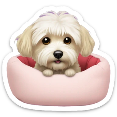 Morkiepoo laying in plush dog bed sticker