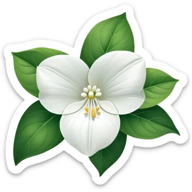 Great White Trillium w ti h sticker