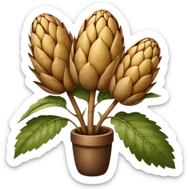 Jerusalem artichoke sticker