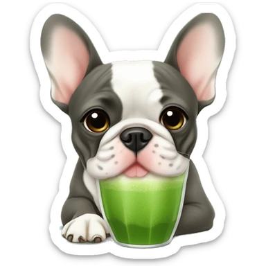 French Bulldog drinks matcha sticker