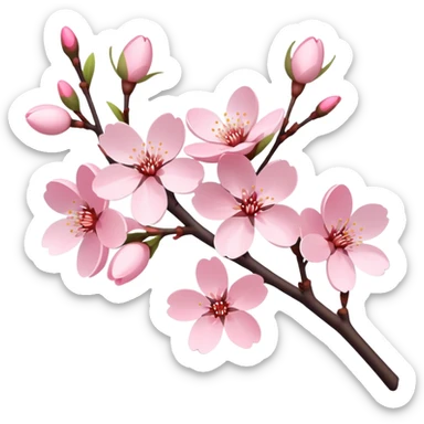 Delicate cherry blossom branch with pink flowers sticker