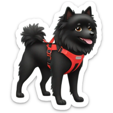 Black Spitz with red harness sticker