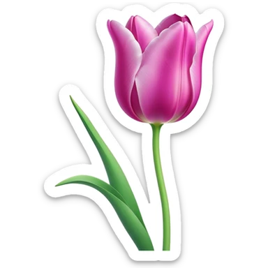 Cinematic Realistic Tulip Emoji, Elegant and simple, with soft, smooth petals in shades of pink and purple, gently curved and reaching upward. The slender green stem contrasts against the delicate bloom, while surrounding greenery adds a peaceful touch. Soft glowing outline, capturing the essence of springtime beauty and grace in a delicate tulip. sticker