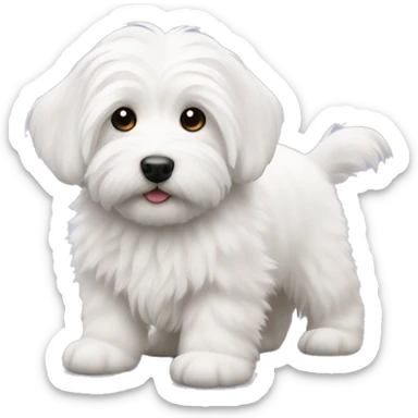 Coton de tulear Puppy sticker