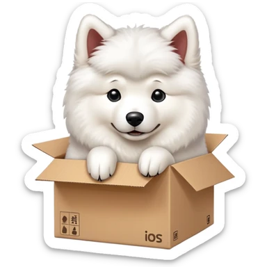  A very cute young Samoye  with one's head tilted to one side poked its paws out of the cardboard big box and placed them on top of it sticker