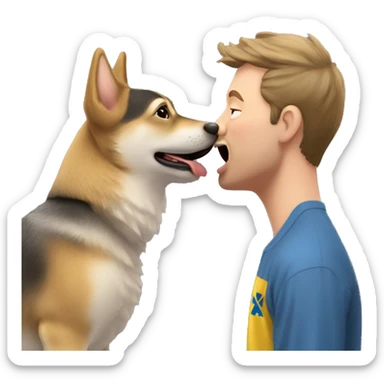 A Swedish Vallhund kiss a man sticker