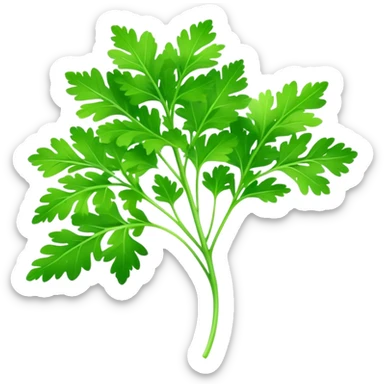 Cinematic Realistic Parsley Emoji, Fresh and vibrant, with bright green, frilly leaves that seem to shimmer with vitality. The plant exudes a sense of healthy growth and aromatic zest, inviting both beauty and flavor into any dish. Soft glowing outline, capturing the essence of freshness, health, and culinary delight in a sprig of parsley! sticker