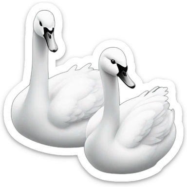 Dos cisnes blanco y negro sticker