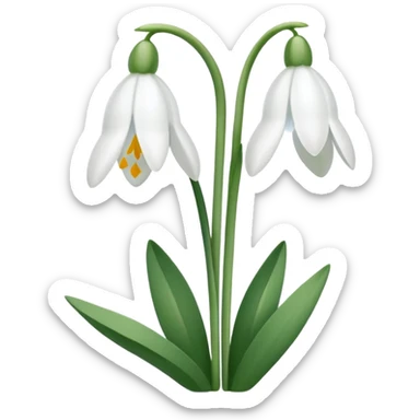snowdrop, two blossoms, simple sticker