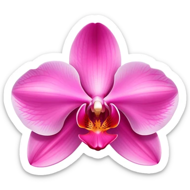 Elegant pink phalaenopsis moth orchid with vibrant rosy petals and two visible green leaves at the base sticker
