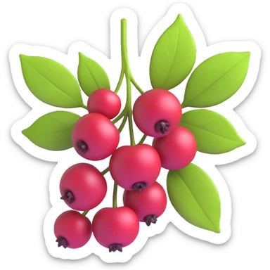 Prunus mahaleb cherry several dark red berries with leaves, modern 3D iOS style, emphasis on volume, light-shadow and freshness, clean background sticker
