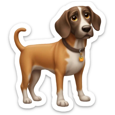 cane che sluta con la zampa bassotto arancione sticker