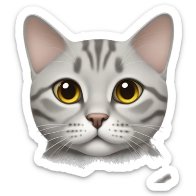 british shorthair in tabby sticker