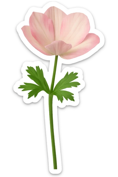 Remove the background, keep only the flower in the image, transparent background. sticker