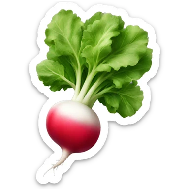 radish sticker