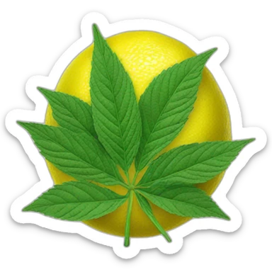lemon haze from amsterdam sticker