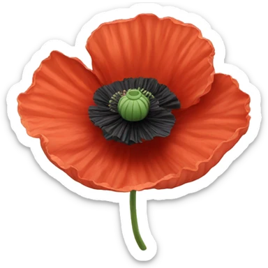 Poppy flower sticker